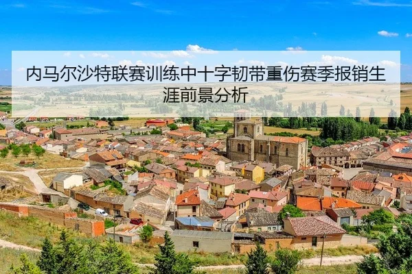 nei-ma-er-sha-te-lian-sai-xun-lian-zhong-shi-zi-ren-dai-zhong-shang-sai-ji-bao-xiao-sheng-ya-qian-jing-fen-xi-3-951.jpg