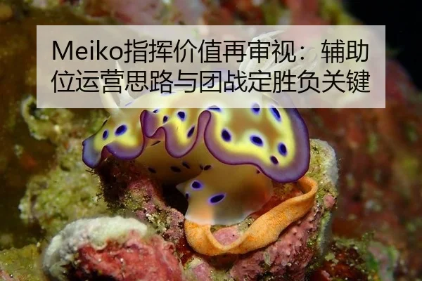 Meiko指挥价值再审视：辅助位运营思路与团战定胜负关键